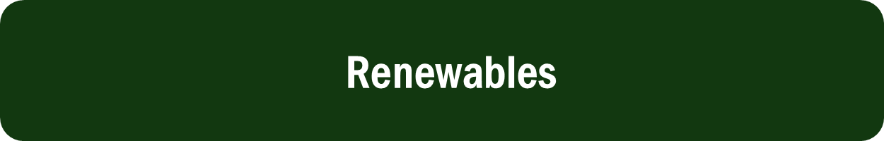 Long Term Loan-Renewables